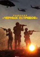 Падение «Черных ястребов»
